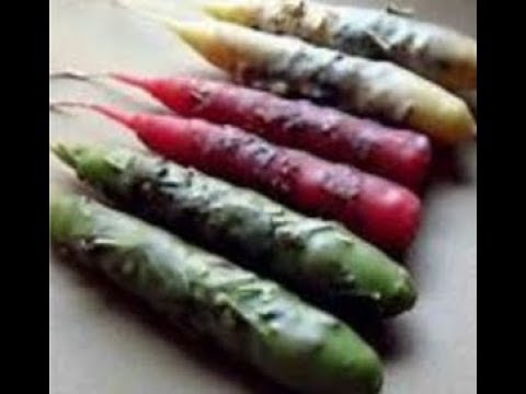 #ASMR #Herb Rolled Candles