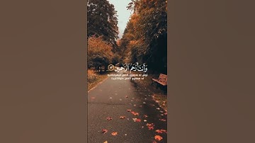 ﴿ وَأَيُّوبَ إِذْ نَادَىٰ رَبَّهُ أَنِّي مَسَّنِيَ الضُّرُّ )سورة الأنبياء الآية 83 ✨📖"