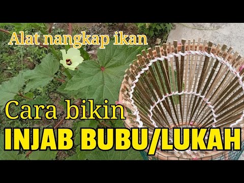 Video: Injap buluh untuk apa?