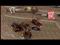 【令和最新版】ミツバチを襲うオオスズメバチを粘着駆除します【カナヘビが誤ってくっ付いてしまった時の対処法も】Giant hornet on Stiky board