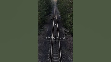تلاوة جميلة يخشع لها القلب بصوت القارئ اسلام صبحي 🤎. #quran #قران_كريم #اسلام_صبحي #تلاوة_خاشعة
