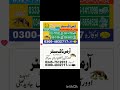army dog centre Faisalabad#03004832717