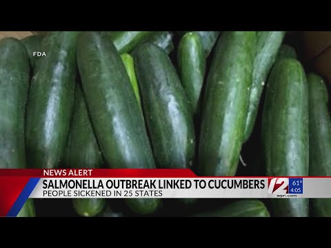 CDC Salmonella outbreak may be linked to recalled cucumbers