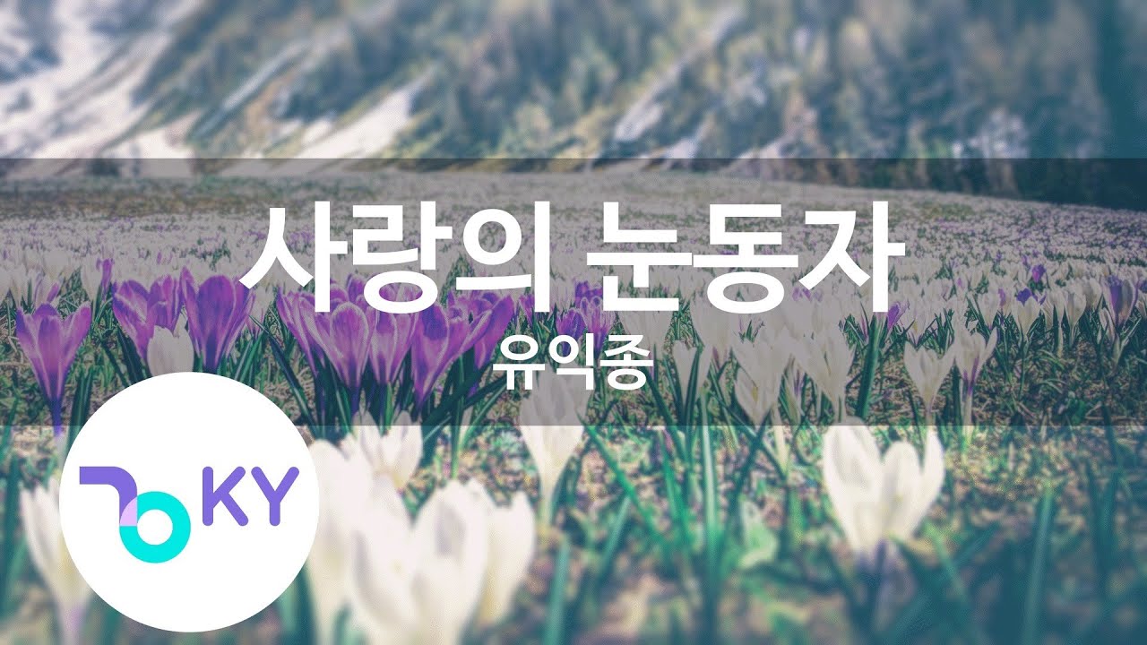 사랑의 눈동자 - 유익종(Pupil of love - Yoo Ik-Jong) (KY.92816) / KY Karaoke