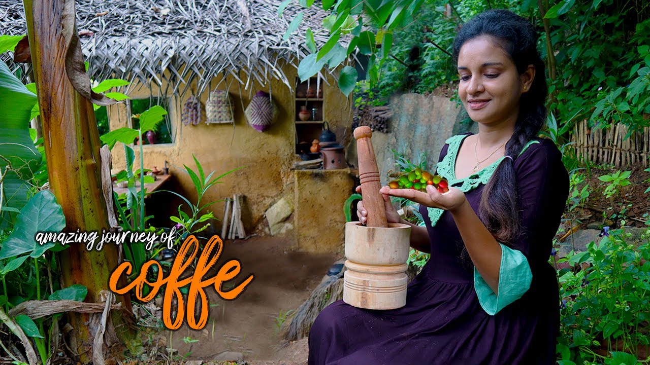 Amazing journey of coffee beans coffee ice cream and sweets with