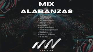 MÚSICA CRISTIANA  ALABANZAS | New Wine  MIX | GOZO.