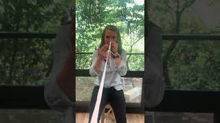Exercise 2- Brock String/Convergence Training