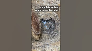 Septic System Troubles? It Might Just Be the Distribution Box