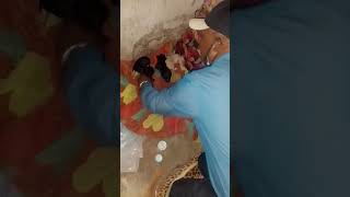 drCall of dutty as usualy with Dr wonderful (1)