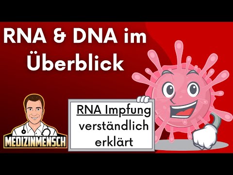 วีดีโอ: RNA das gleiche wie mRNA หรือไม่
