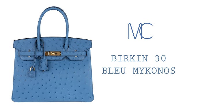 HERMÈS BIRKIN in EXOTIC OSTRICH Leather 