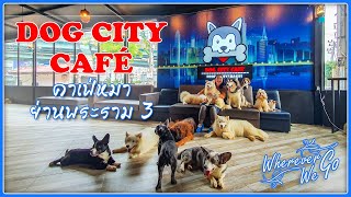 [ENG SUB]: DOG CITY CAFÉ |คาเฟ่น้องหมาหลากหลายสายพันธุ์ ย่านพระราม 3 คนรักน้องหมาไม่ควรพลาด |BANGKOK