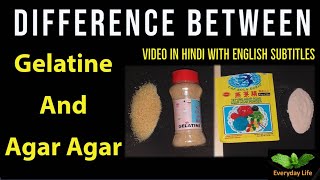 Difference between Gelatine and Agar-Agar | जेलटीन और अगर अगर में अंतर |  Everyday Life #48