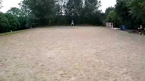 Sue Benefield and Diesel walk trot restricted  wtd...