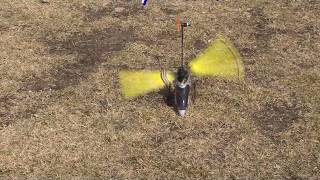 Eflite Blade CP Pro Feigao Brushless RC Helicopter Inverted