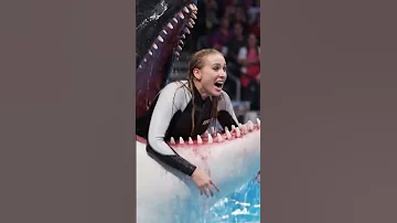 Jessica Radcliffe Accident Original Video Jessica Dolphin Show Incident Jessica Dolphin Shorts 