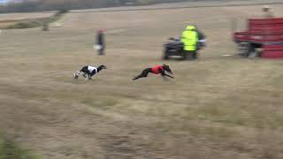 Ae5 Dashuri Te Hope Aavatuulen Theanor