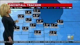 Chicago Weather: Several More Inches Of Snow Expected
