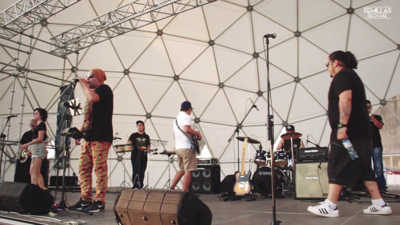 Semillas Reggae en vivo - Domos Art (Lima, Perú)