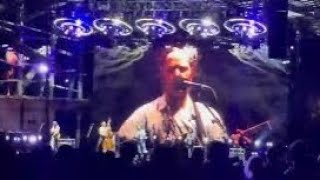 Celebrity Billy Strings Making Magic For 3 Mins Before The Song Even Starts- Koka Booth Amphitheater Cary NC Wealth