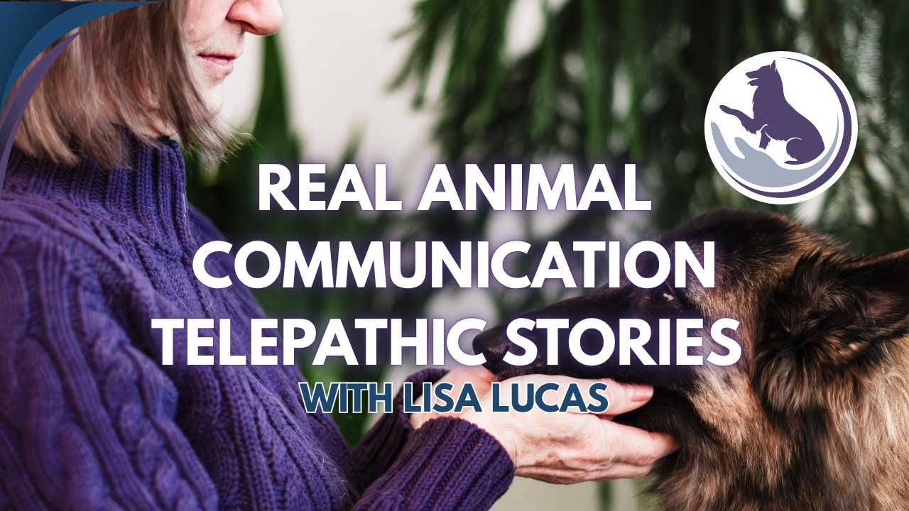 Telepathy Dogs Real Animal Telepathic Communication Stories with Lisa Lucas | Animal ...