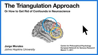 "The Triangulation Approach" | Dr. Jorge Morales