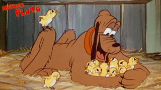 Mother Pluto 1936 Disney Silly Symphony Cartoon Short Film Directed By David Hand Film Review