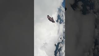 Bulutların Üstünde Uçmak