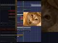 cat on the beat 😭 #flstudio #musicproducer #producer #fyp #short #beatmaker #funk