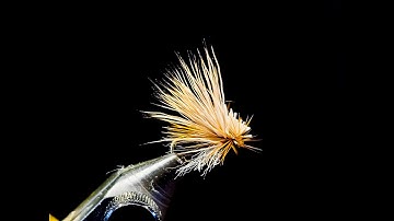 Fly Tying:  Mercer