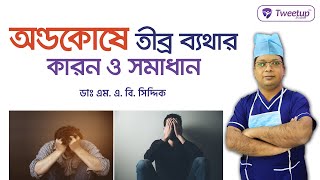 Causes And Solutions For Severe Pain In The Testicles. Scrotal Pain 4K