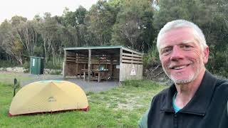 Te Araroa NoBo  Day 145  Northland Forests