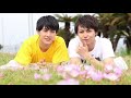 fanfare / 超特急