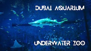 Exploring Dubai Aquarium And Underwater Zoo | Things to do in Dubai Mall