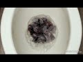 【麗室衛浴】美國 KOHLER活動促銷 KARESS 雙體馬桶 K-5331T-S-0 配緩降馬桶蓋 管距30CM product youtube thumbnail