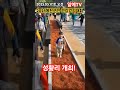 2025  예천군민 건강걷기대회 성료!