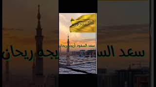 الله أكبر ما أعز محمدا-المنشد هادي صقر