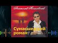 Анатолий Могилевский - Сумасшедший роман