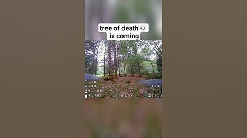 Surprised by a Tree Branch | Modified Cetus X #crash #fpv #drone #gaming