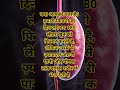 क्या आपको पहले ये पता था 🤔#facts #science #humanbody #kidney #amazingfacts #shorts #viral #shorts