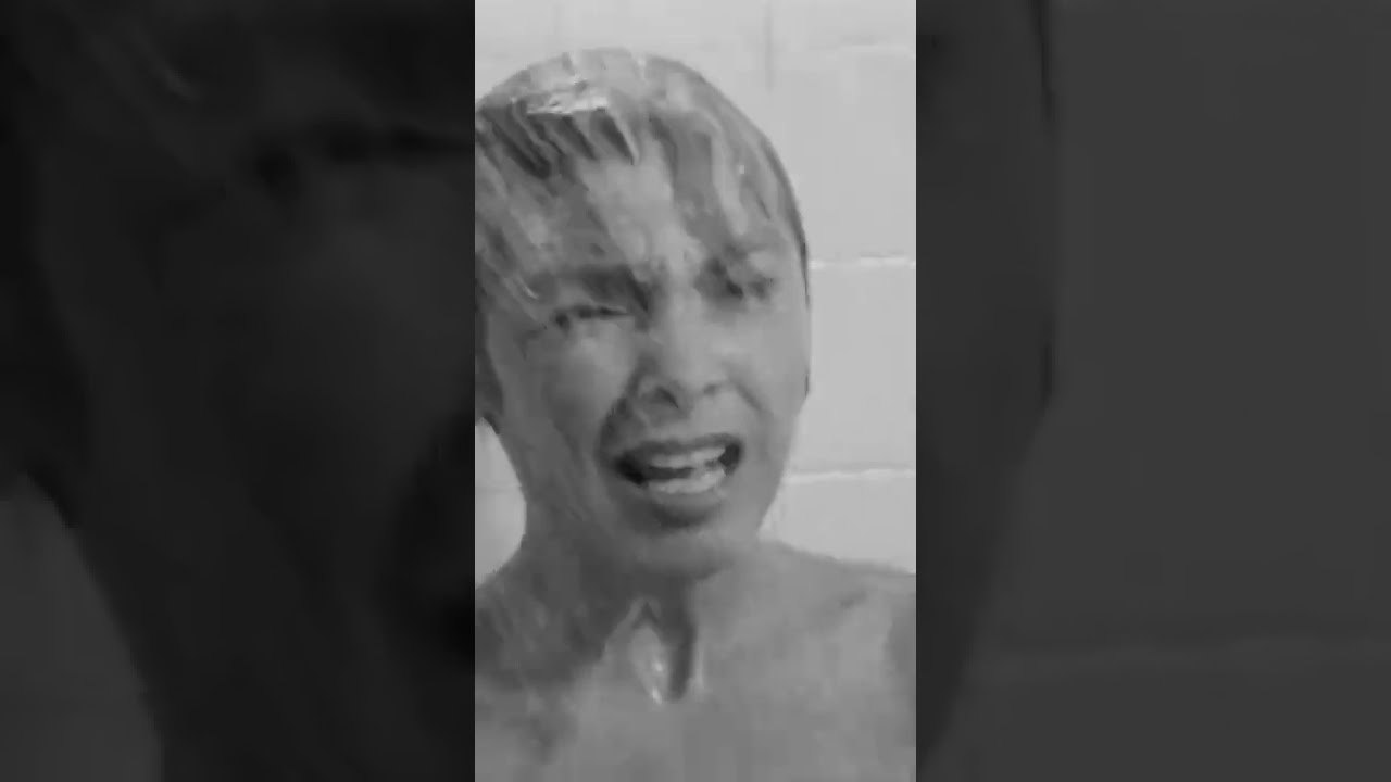Cat Stalks People In Shower Shorts Cute Curious Calico Bathroom Hitchcockmovies