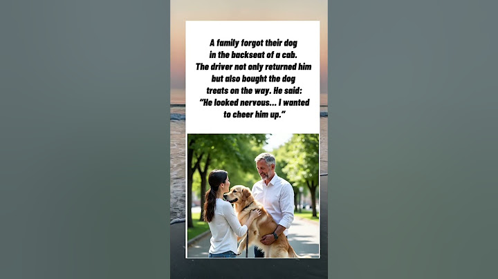 The Taxi Driver Who Took a Dog Home🚕🐕 #wholesome #heartwarmingstories