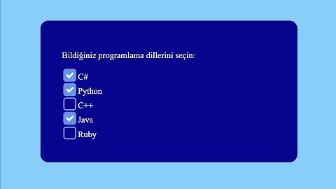 CSS Form Checkbox Style