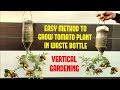 Best Method To Grow Tomato Plant in Plastic Hanging Bottle ll Vertical Gardening l #vardayinifarming