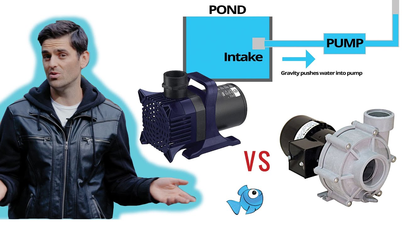 Submersible vs External Pond Pumps 