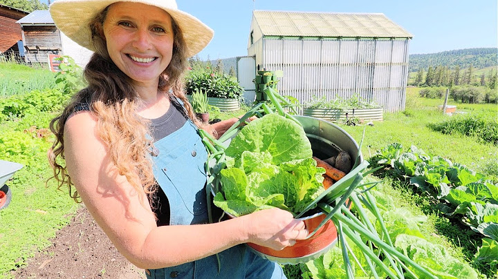 Garden & Root Cellar Shopping | From Harvest to Table | Delicious Meal That Freezes Well
