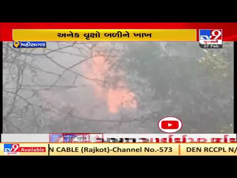 Mahisagar: Many trees burnt after fire broke out in Limbodara forest region| TV9News