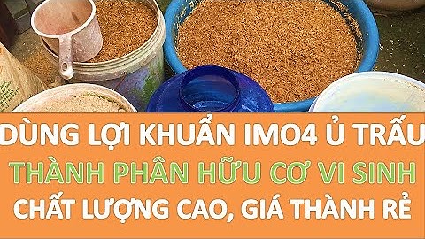 Dùng lợi khuẩn IMO4 ủ trấu thành phân hữu cơ vi sinh chất lượng cao giá thành rẻ