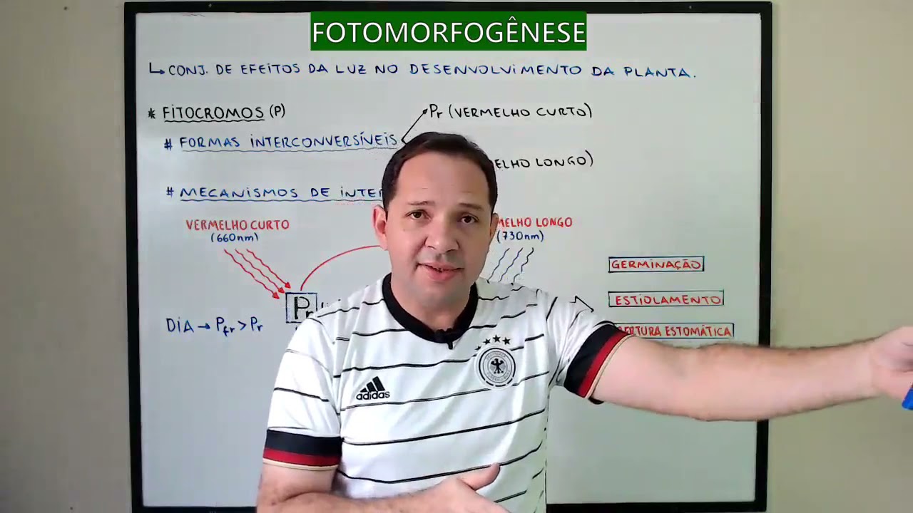 Fisiologia Vegetal: Fotomorfogênese - Prof. Alberto Rodrigues