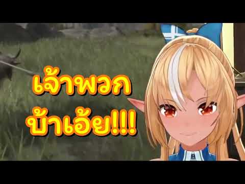 Flare (แฟลร์) กับการบอกว่า "เกลียดพวกใช้ธนู!!!" [Hololive ซับไทย]
